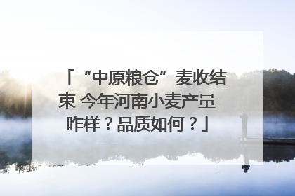 “中原粮仓”麦收结束 今年河南小麦产量咋样？品质如何？
